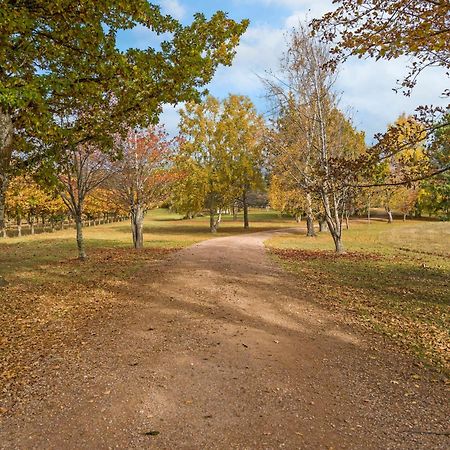 Blackwood Park Cottages Mole Creek ภายนอก รูปภาพ
