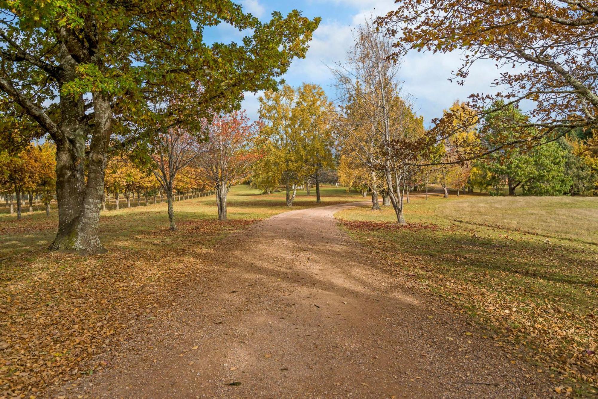 Blackwood Park Cottages Mole Creek ภายนอก รูปภาพ