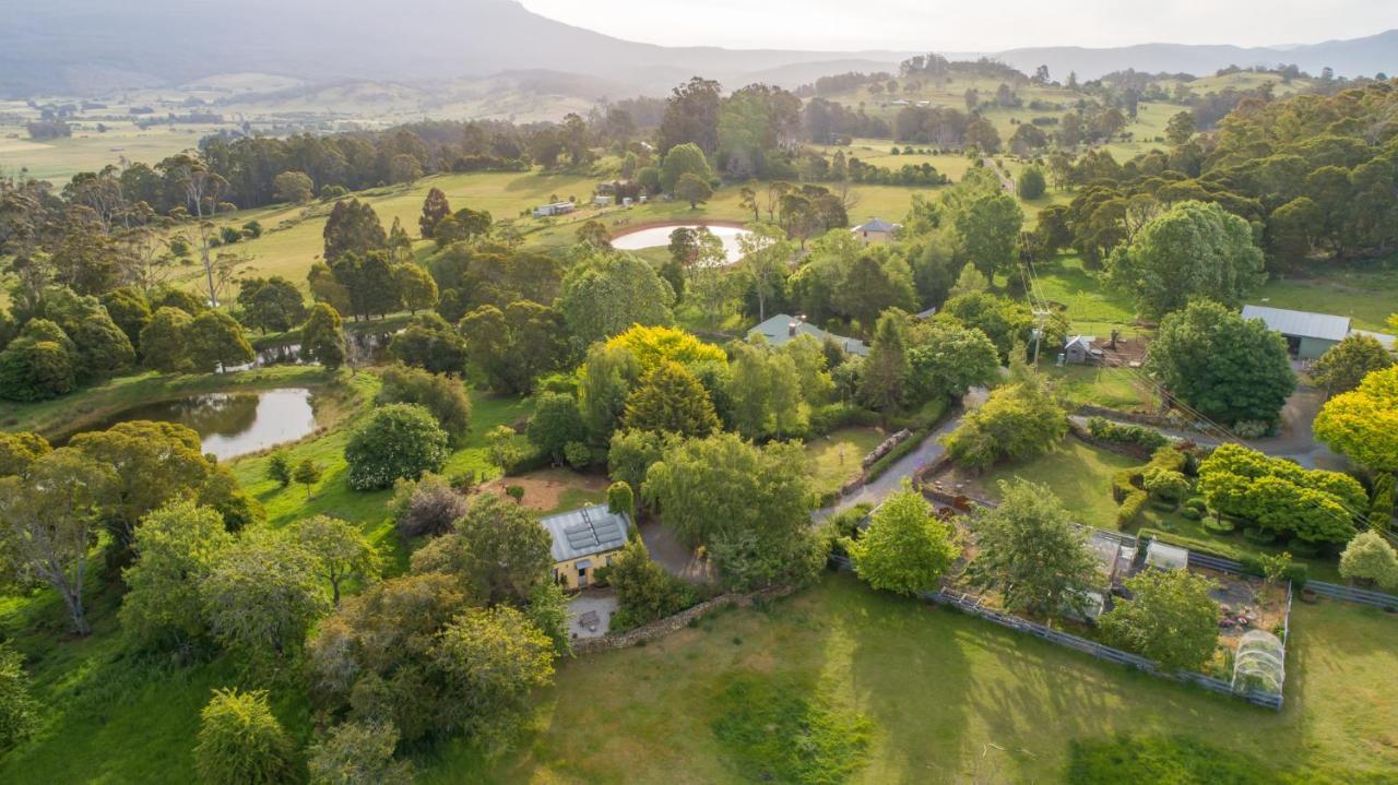 Blackwood Park Cottages Mole Creek ภายนอก รูปภาพ